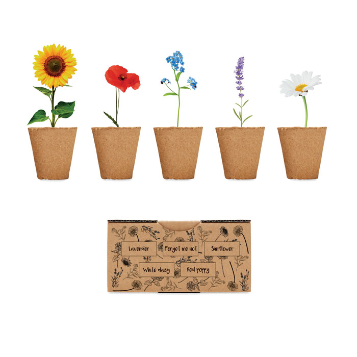 Flowers growing kit | Eco gift